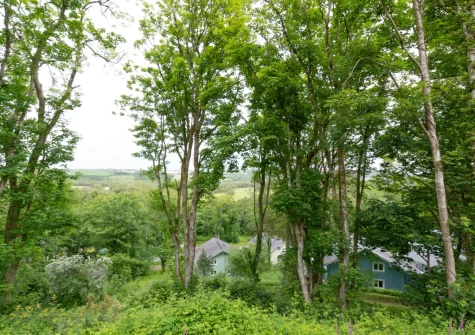 The tranquil view from the glass-fronted balcony & outdoor sitting area at Woodland View, Trefloyne Manor, Penally