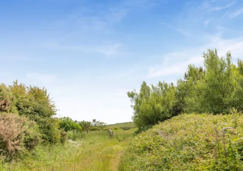 Staying at Workshop Cottage you'll be surrounded by a network of scenic footpaths leading straight from your front door to coastal trails & nearby villages