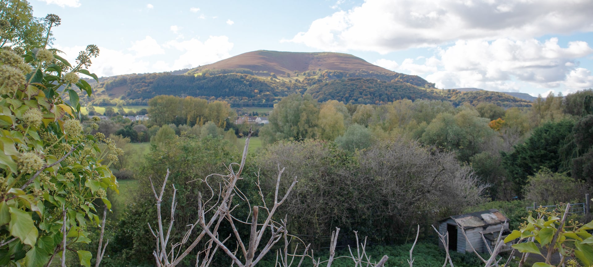 Three mountains surround Abergavenny. Try Skirrid Fawr for a walk through the woods which open out to magnificent views over the surrounding countryside. Park your car in the car park at Blorenge and hike up to the top for views over Abergavenny, a rather strenuous hike, but worth it in the end. To the north of the town is Sugar Loaf which is quite close to the town and gives you a panoramic view over Abergavenny and the Black Mountains.