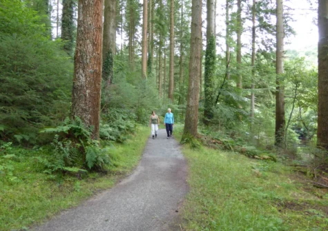 The area offers plenty of superb walking & cycling trails, Coed y Brenin Forest Park is a must-visit